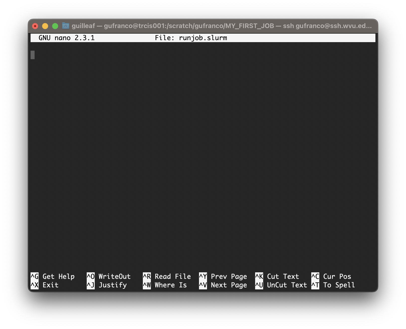 nano text editor