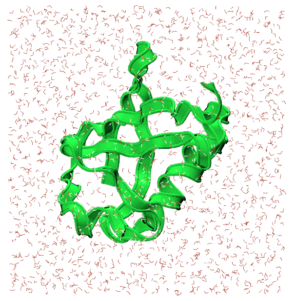 A figure showing the initial coordinates of ubiqitin in a water box.